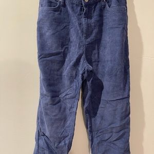 BDG/ URBAN OUTFITTERS corduroy pants size 28
